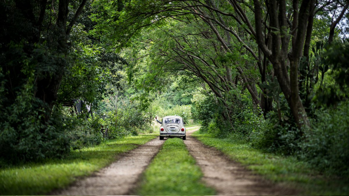 enigmatino's tweet photo. La entrada de los desposados ❤️
▪
📷 @enigmatino.fotografia
🎥 @danielmatusdm
📍 @casa2lagos
▪
▪
👰🏽🤵🏽    #novias #novias2022  #novios #oaxaca #oaxacadestinationwedding
#oaxacawedding #wedding #weddingcalenda #weddingday  #bodas2022 #bodasmexicanas #bodasmexico #bodasoaxaca https://t.co/VXIsdanWuU