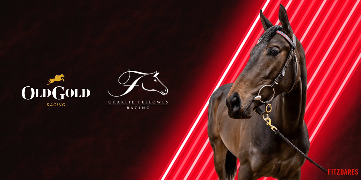 OldGoldRacing's tweet photo. #FITZPERFECTLY OWNERS‼️

We are giving you the opportunity to watch your horse  in action at Newmarket Heath, followed by a private visit to @FellowesRacing

 the chance to enjoy Group 1 action at the finale of the prestigious Cambridgeshire Meeting

Tickets &amp; info: MyStables App https://t.co/cL2PWQTojU