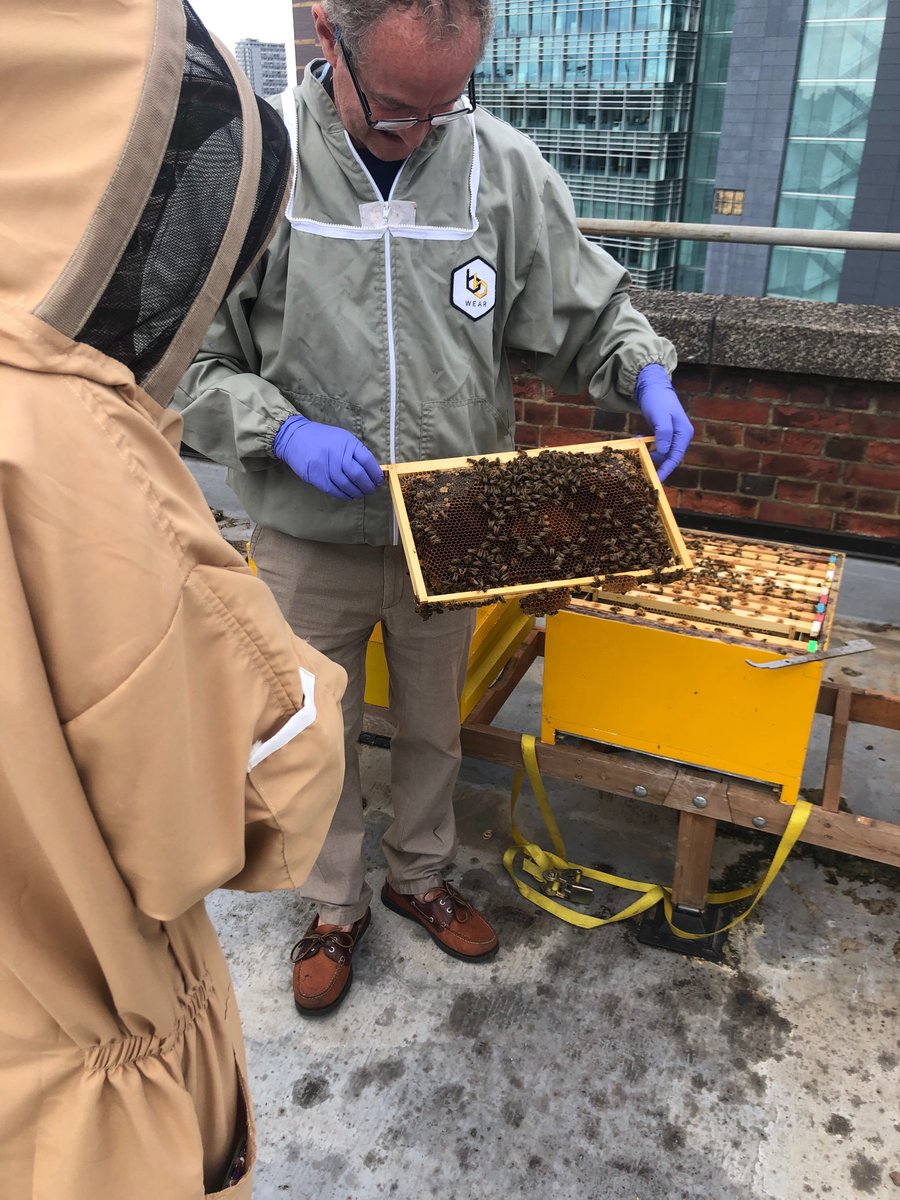 Buzzing…we finally got to see the infamous <a href="/aandeddb/">adam&eveDDB</a> 🐝 🍯 bees!