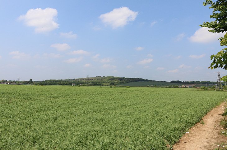 adurandworthing's tweet photo. Worthing Borough Council has won its High Court challenge against plans to build 475 homes in the #Goring Gap. Read more:
👉https://t.co/JVFNb3T4UA https://t.co/tH6kAsSWrt