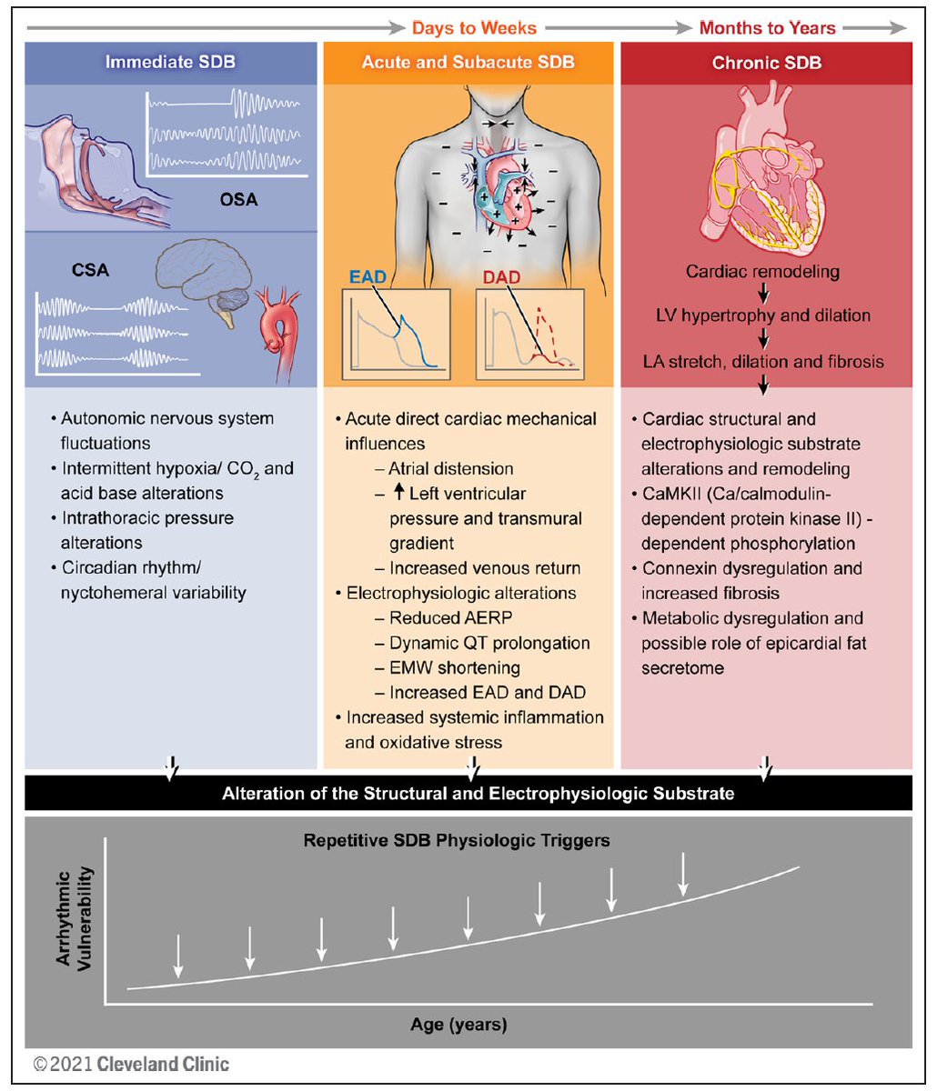 Dominik Linz tweet media