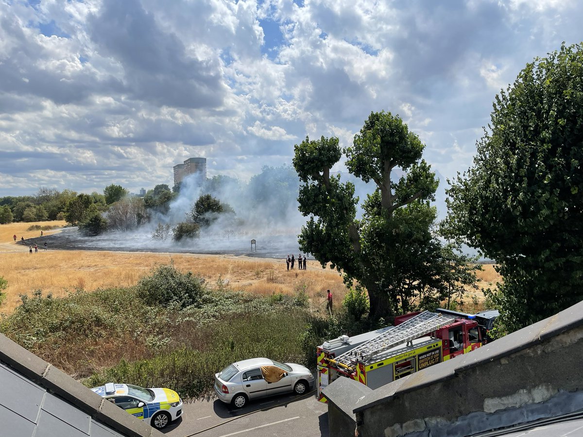 So that was quite an alarming lunchtime: watching trees go up and the flames get closer and closer. Thank goodness for the London Fire Brigade.