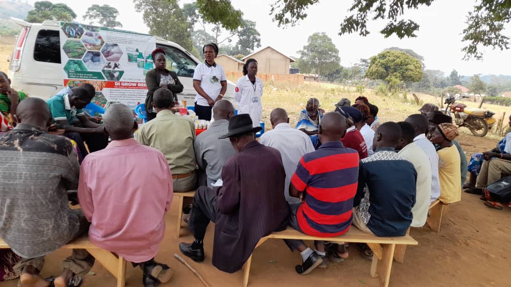 dynapharmugand1's tweet photo. Through training, farmers learn how to better manage both the business and agricultural aspects of their farms hence earn more income. With significant yield increases using DI Grow, farmers can earn more at harvest and improve the local economy.
#DIGrow #Dynapharm #agriculture https://t.co/SjgO3LLuvQ