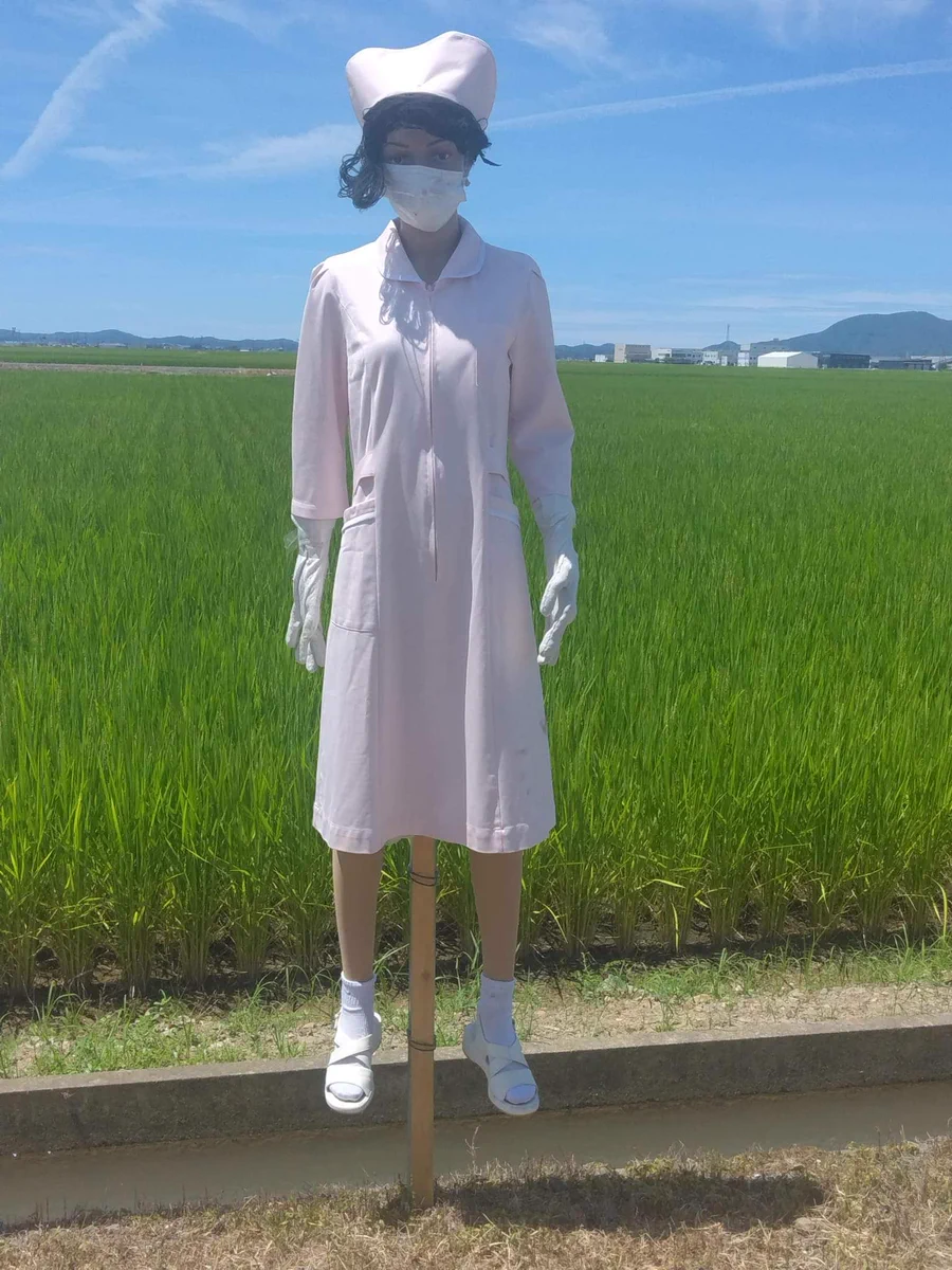 閲覧注意！！ナース服を着た夜に遭遇したくないかかし。
