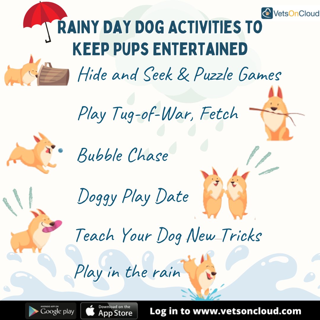 VetsOnCloud's tweet photo. Rainyย daysย don'tย haveย toย beย boring;ย we have sniffedย outย some dog- friendlyย indoorย activities that will keep your Doogo active during the monsoon.
Comment down what your Dog loves doing when it rains?
#vetsoncloud #dogactivity #dogplaytime #dogplaydate #gamesfordogs #gamefordogs https://t.co/CUhc7pzCiS