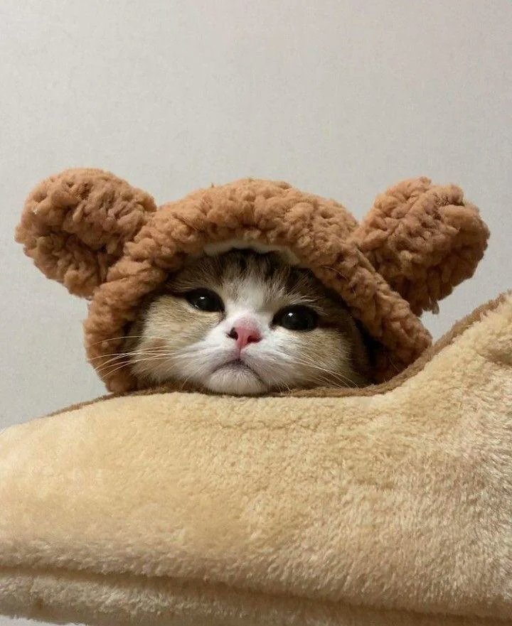 This one is for you, Misa <a href="/japaneseammo/">Misa 🇯🇵 Japanese Ammo</a>