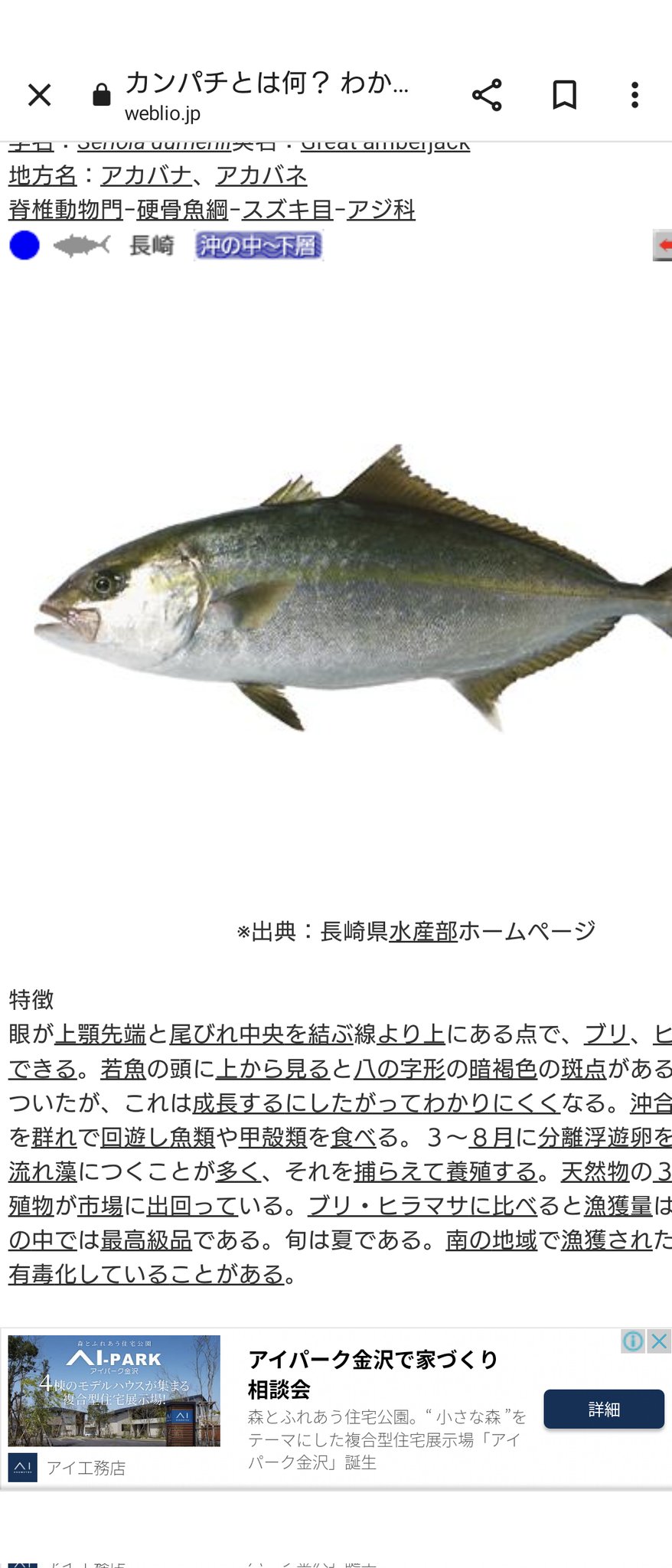 تويتر 一人暮らしのマロン على تويتر こんばんわ 晩飯はコゾクラもといカンパチの煮付けです たまたま材料買いに行ったスーパーで 釣り上げた と同じで 見たらカンパチと わぉ カンパチ 稚魚 釣り上げた T Co Kqbizgbrjt