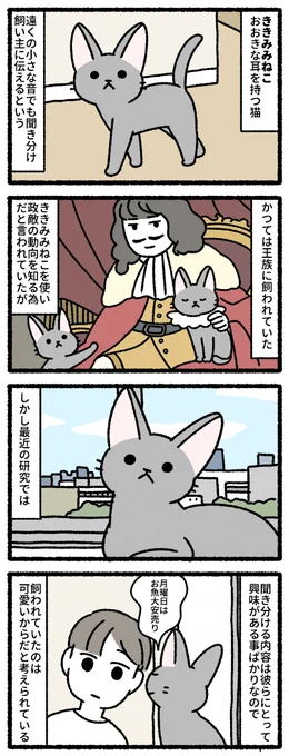 ききみみねこ #ゆめのせいぶつ 