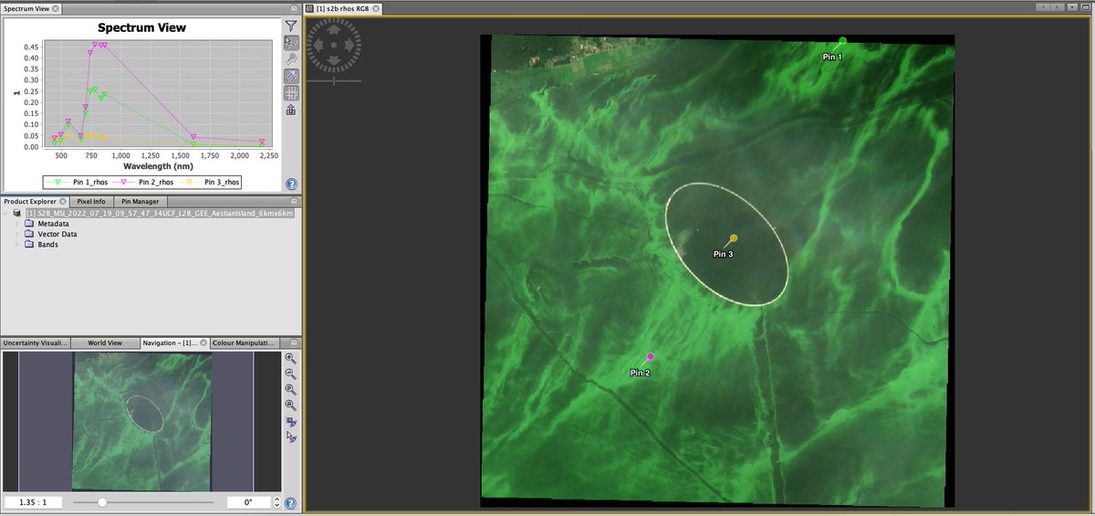An artificial elliptical island under construction by Poland in the Vistula Lagoon, tentatively named Wyspa Estyjska / Aestian Island. Imaged here by Sentinel-2B on 2022-07-19. The strong red edge peak indicates these are floating scums in the lagoon surrounding the island.