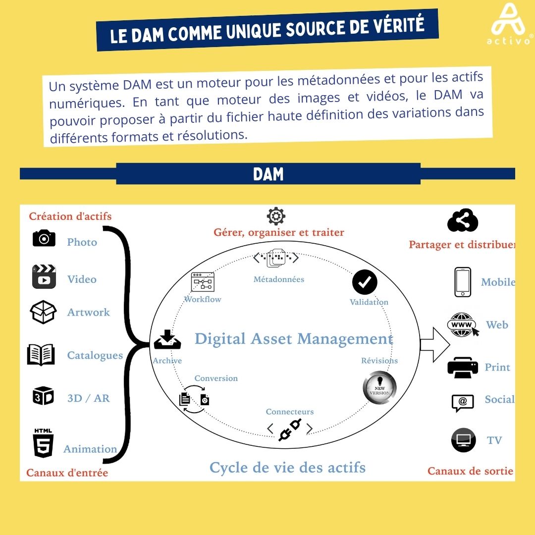 ACTIVO_DAM_PIM's tweet photo. GUIDE DU DAM BY ACTIVO ! 🚀
➡️ Étape 6 : 
Le DAM comme unique source de vérité.

Rendez-vous sur https://t.co/iN6cXGbiIy pour plus d'informations !

#DAM #digitaltransformation #solution #roi #guide #tips #conseils 
#disruptivetechnology #metadata https://t.co/W4avq63Lim