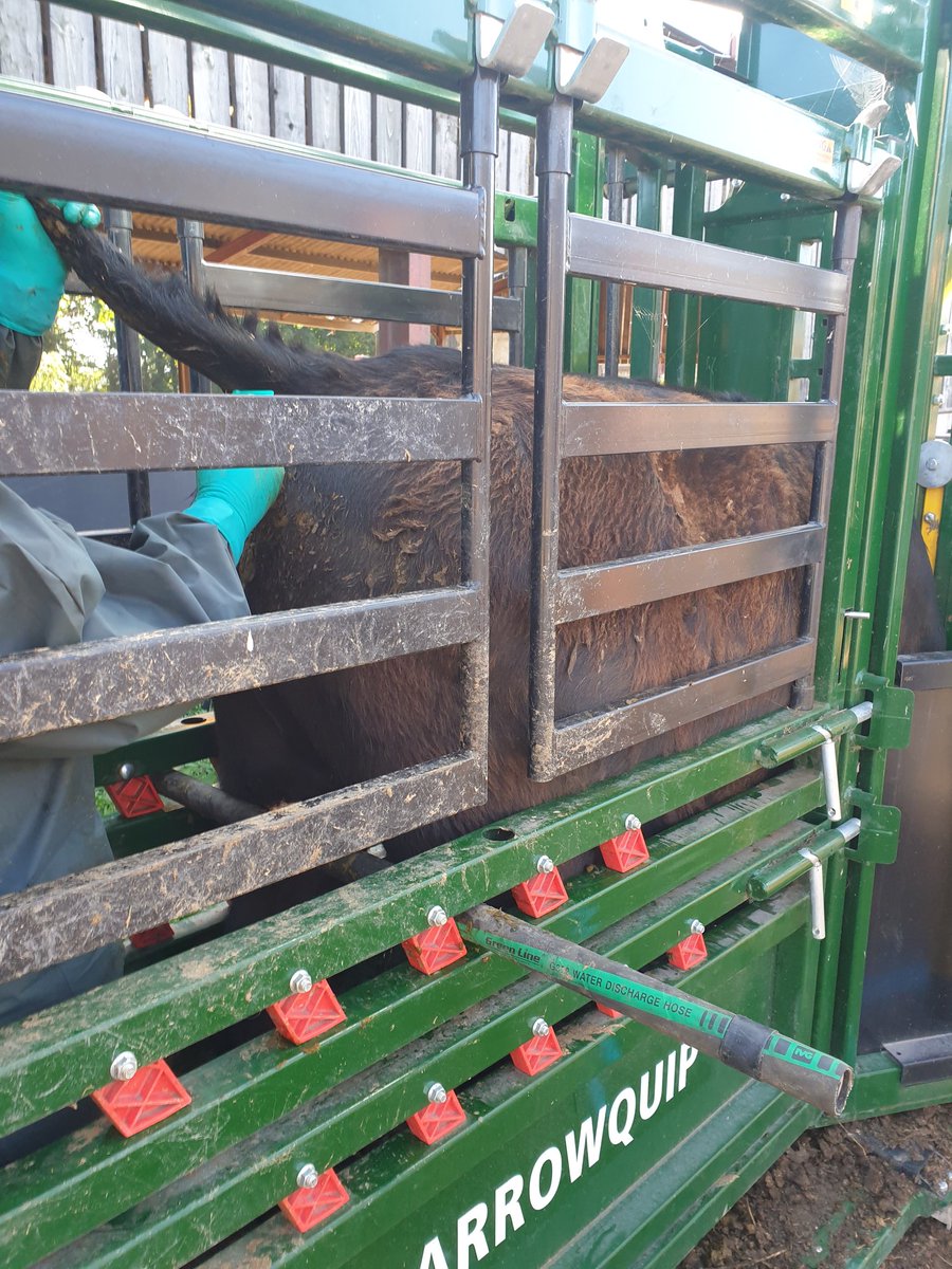 Adam Quinney🏴 tweet media