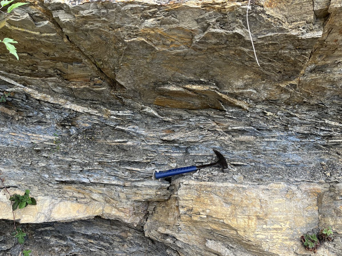 Team in the field. Structural analyses and sampling along the Orobic Thrust, Italian Alps!! #strcturalgeology #tectonics #prin #thrust #alps #faults