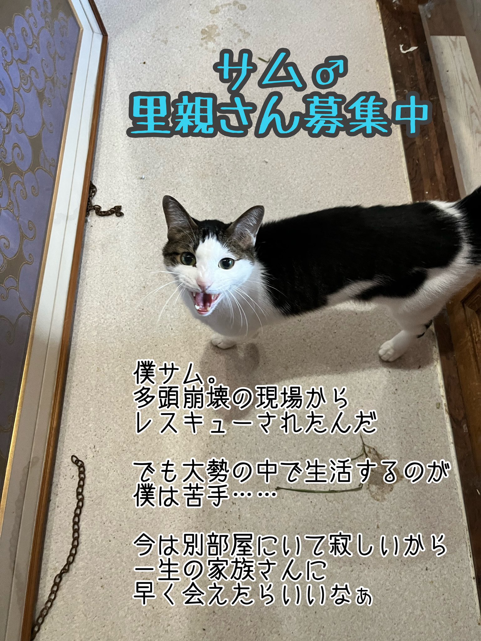 グラビューハート Staff Ghstaff Y Twitter