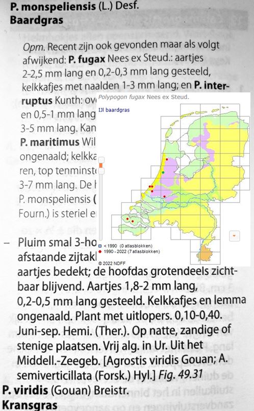 ton denters tweet media
