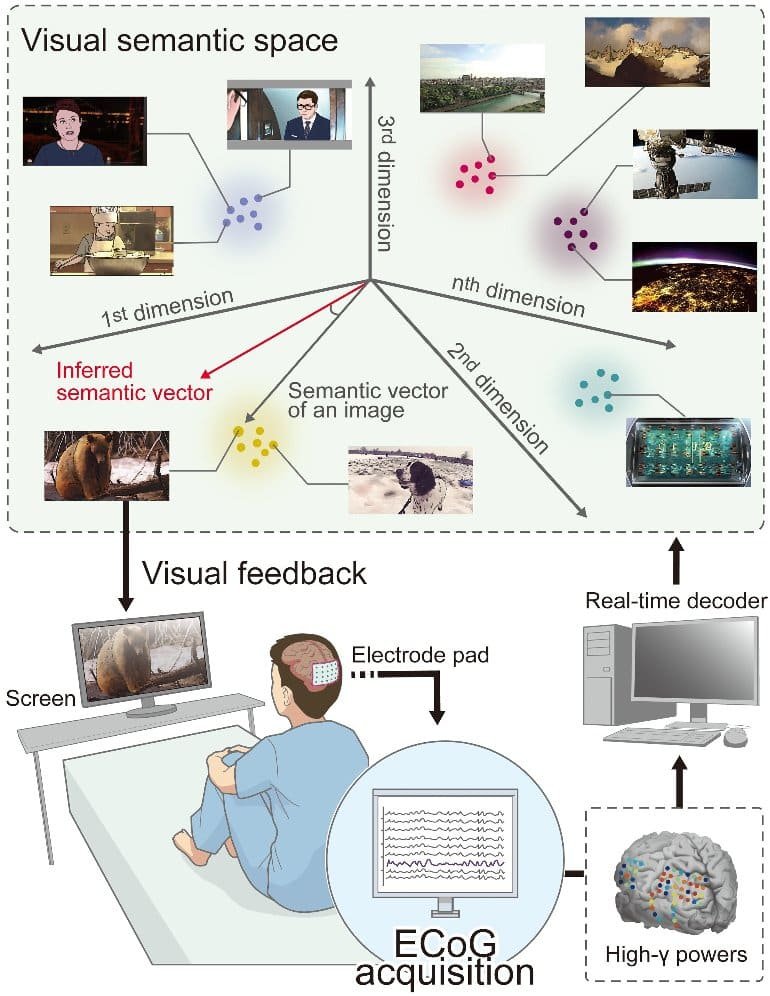#scientists See What People Picture inTheir Mind #neurotech #BigData #Analytics #digitalhealth #AI #IoT #PyTorch #Python #TensorFlow #flutter #NLP #Serverless #Java #JavaScript #CloudComputing #DevCommunity #programming #DigitalTransformation #Cloud #100DaysofCode #BOT #Wearables