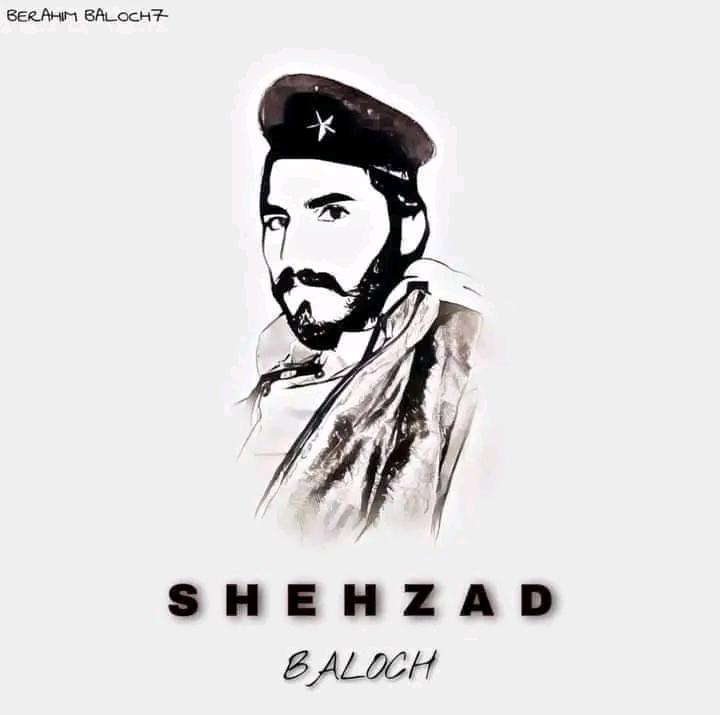 SaveShahzad's tweet photo. Baloch Student Shahzad Dehwar who was abducted by Pakistani forces from Quetta on 4 June 2022 and  killed in a faik encounter in Ziarat. 
@UN @amnesty @BBCUrdu @HamidMirPAK @CMShehbaz @Advjalila @Mahdembaloch1
#StopBalochGenocide 
#JusticeForShahzadBaloch https://t.co/QKxfFMGAyO