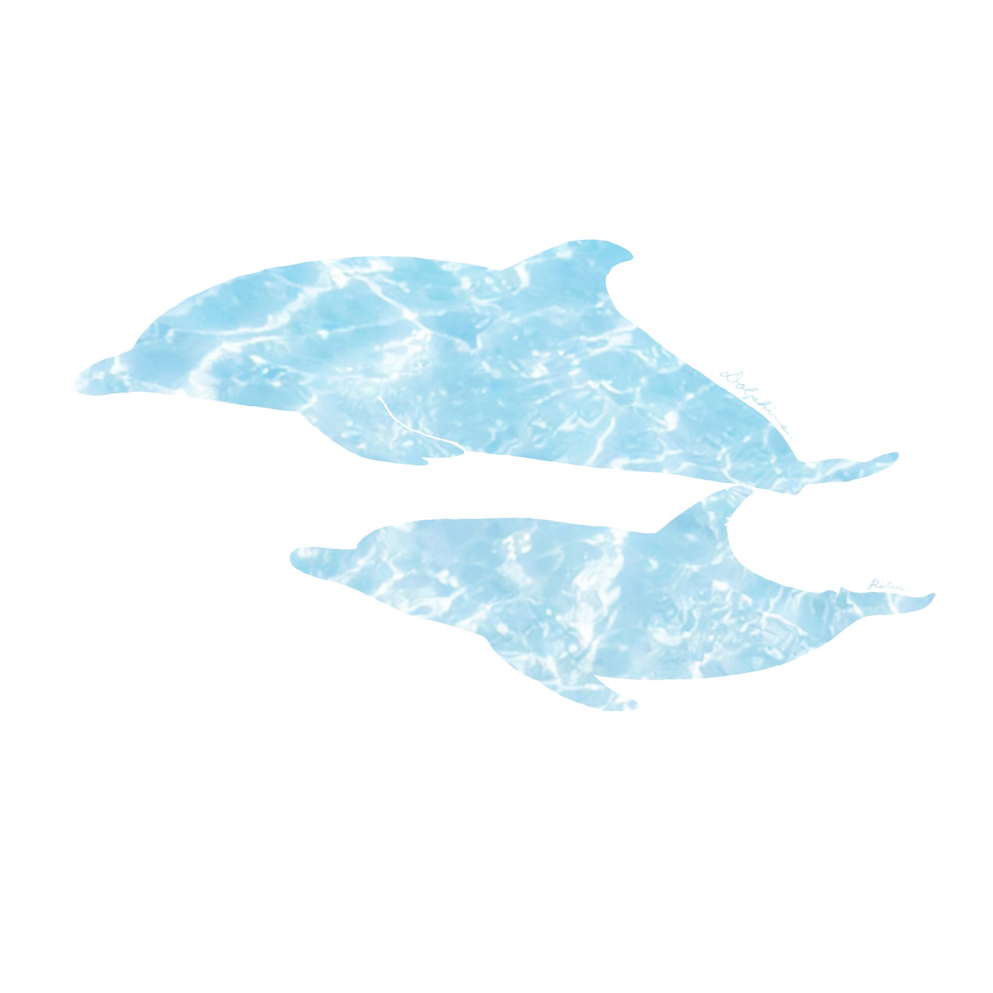 イルカイラスト Twitter Search Twitter