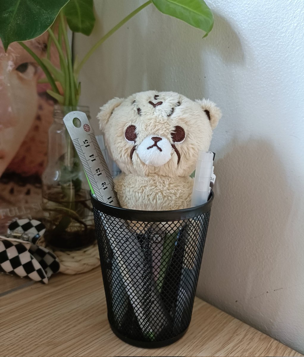 haechauI's tweet photo. π¨ #jysproof
cheetah lee is home just in time for mark's day tomorrow! thank you as always for the smooth and fast transaction @juyosales ! ur my go-to yd/ ina/ thai pasabuy for everything na! π«π€ https://t.co/u3WSUKUhtW