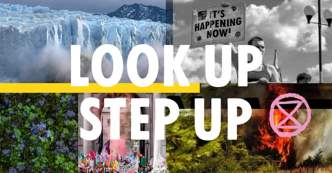 KingstonXR's tweet photo. IT’S NOT TOO LATE TO SAVE OUR WORLD. Come along to Kingston Environment Centre, New Malden KT3 3PE on Thursday, 11th August 7 pm to hear why voting, marching and signing petitions won’t help - but just 3.5% of us working together in 2022 could turn things around. https://t.co/58RLgTUEnf
