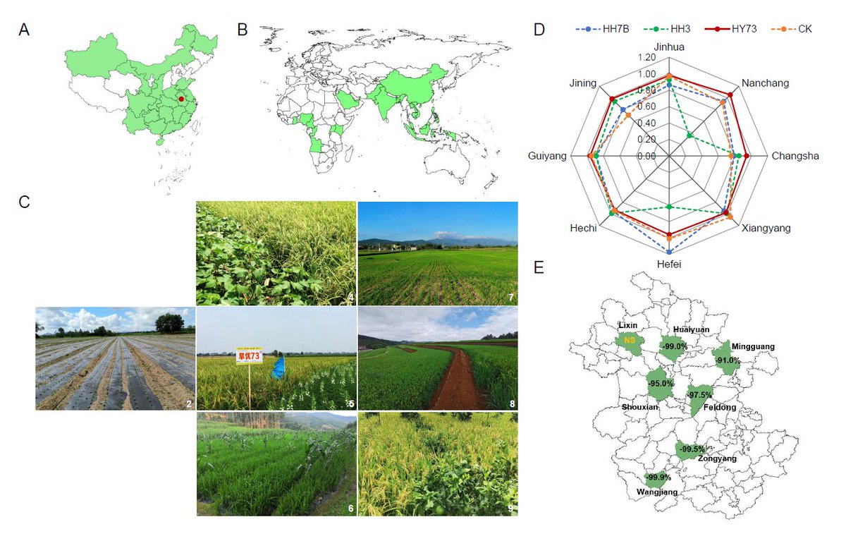 Blue Revolution for Food Security under Carbon Neutrality: A Case from the Water-saving and Drought-resistance Rice #opinion #MolecularPlant cell.com/molecular-plan…