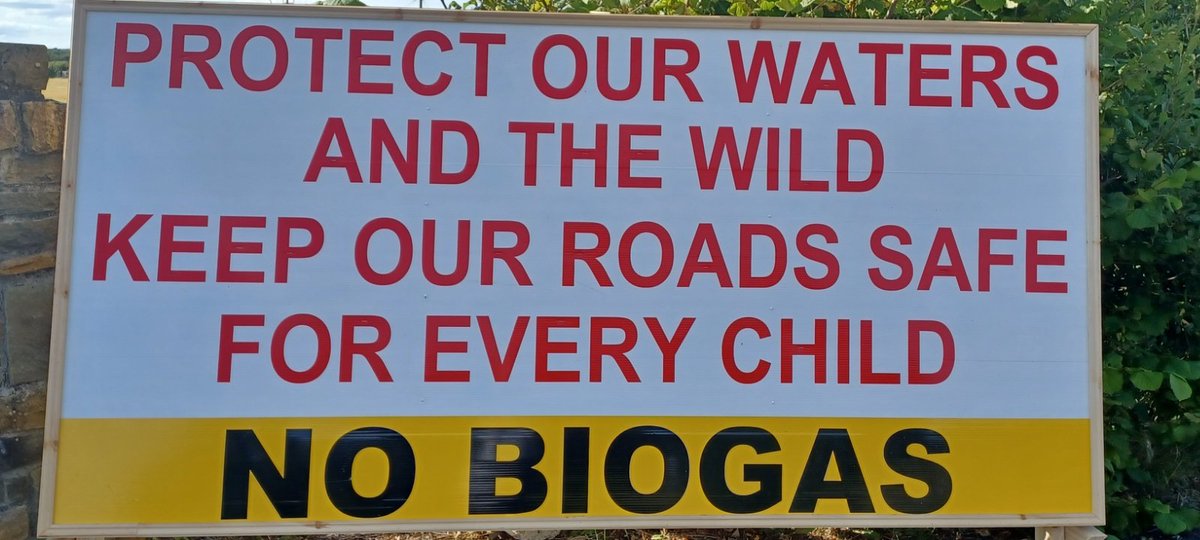 Sharoneen (@heeran_sharon) on Twitter photo 