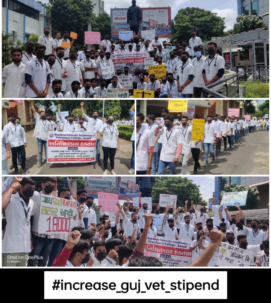 #Strike_for_18k_stipend
#KU_Vet_Dr_on_strike
#Increase_Guj_Vet_Stipend