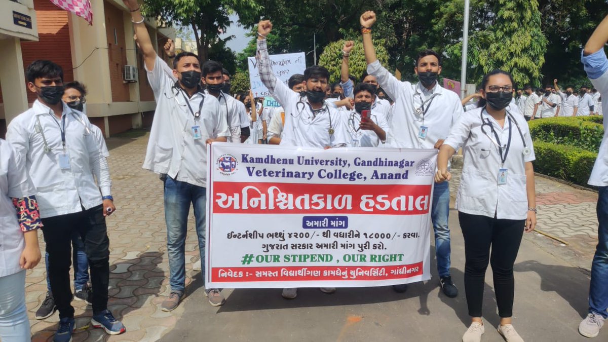 અમારો અધિકાર,
સ્ટાઈપેન્ડ ૧૮૦૦૦ !

DONT JUST SEE US AS DOCTORS TREAT AS ONE

#indefinite_strike
#Strike_for_18k_stipend
#KU_Vet_Dr_on_strike
#Increase_Guj_Vet_Stipend
<a href="/PMOIndia/">PMO India</a> <a href="/CMOGuj/">CMO Gujarat</a>
<a href="/RaghavjiPatel/">Raghavji Patel</a> <a href="/sanghaviharsh/">Harsh Sanghavi</a>
<a href="/PRupala/">Parshottam Rupala</a> <a href="/KanuDesai180/">Kanu Desai</a>
<a href="/Divya_Bhaskar/">Divya Bhaskar</a>
<a href="/sandeshnews/">Sandesh</a>