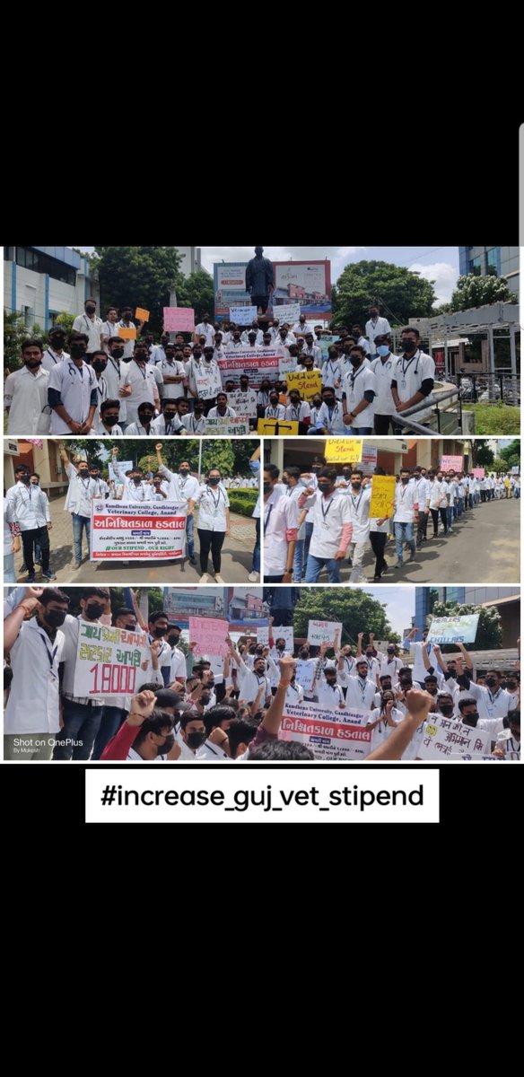 અમારો અધિકાર,
સ્ટાઈપેન્ડ ૧૮૦૦૦ !

DONT JUST SEE US AS DOCTORS TREAT AS ONE

#indefinite_strike
#Strike_for_18k_stipend
#KU_Vet_Dr_on_strike
#Increase_Guj_Vet_Stipend
<a href="/PMOIndia/">PMO India</a> <a href="/CMOGuj/">CMO Gujarat</a>
<a href="/RaghavjiPatel/">Raghavji Patel</a> <a href="/sanghaviharsh/">Harsh Sanghavi</a>
<a href="/PRupala/">Parshottam Rupala</a> <a href="/KanuDesai180/">Kanu Desai</a>
<a href="/Divya_Bhaskar/">Divya Bhaskar</a>
<a href="/sandeshnews/">Sandesh</a>