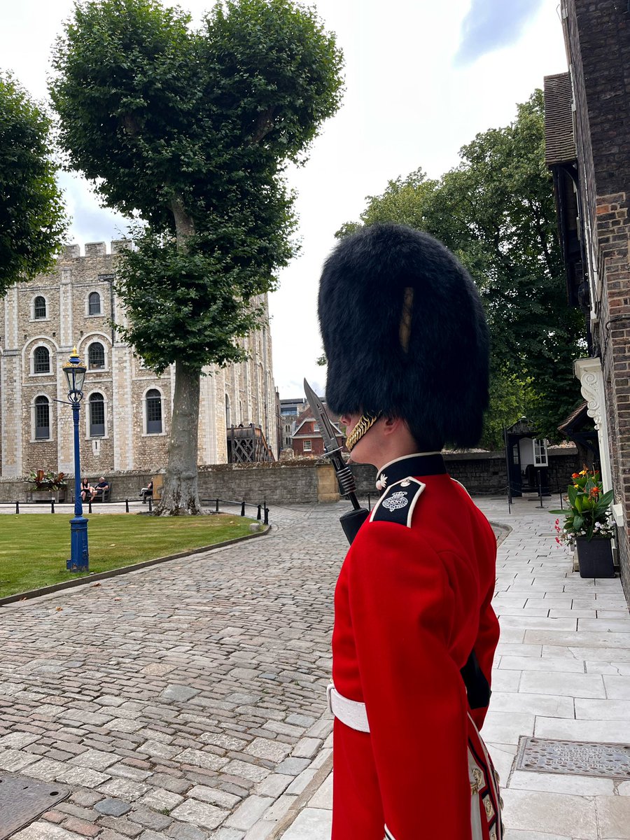 We have the splendid @GrenadierGds back with us at @TowerOfLondon @ArmyInLondon #PalacePhotos