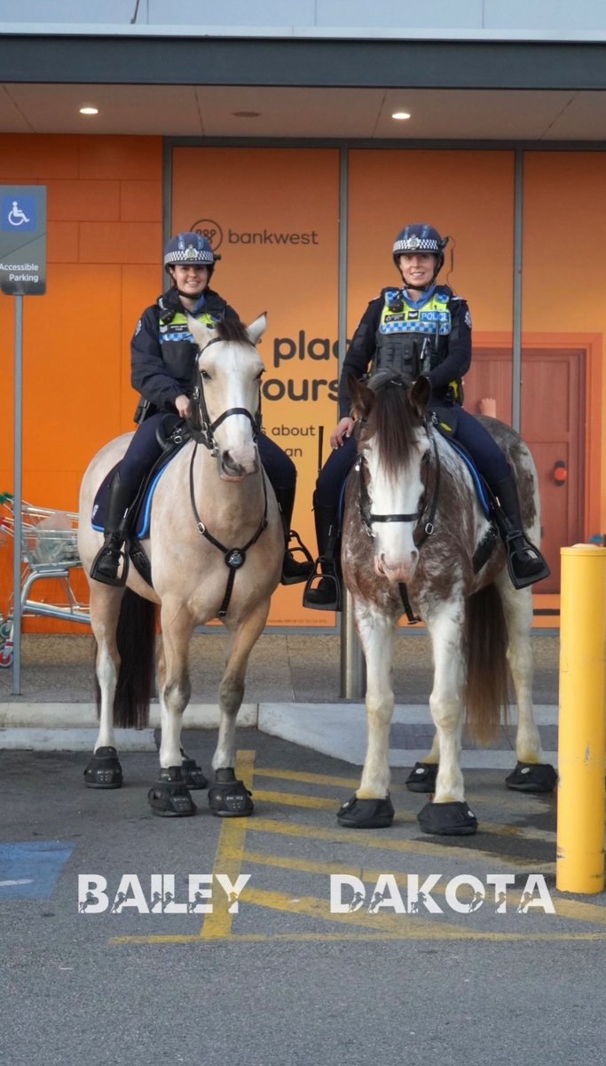 WA Police Force Mounted tweet media