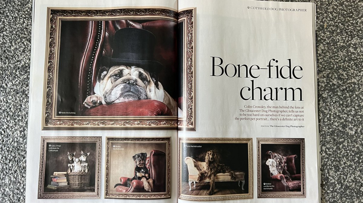 The Gloucester Dog Photographer tweet media