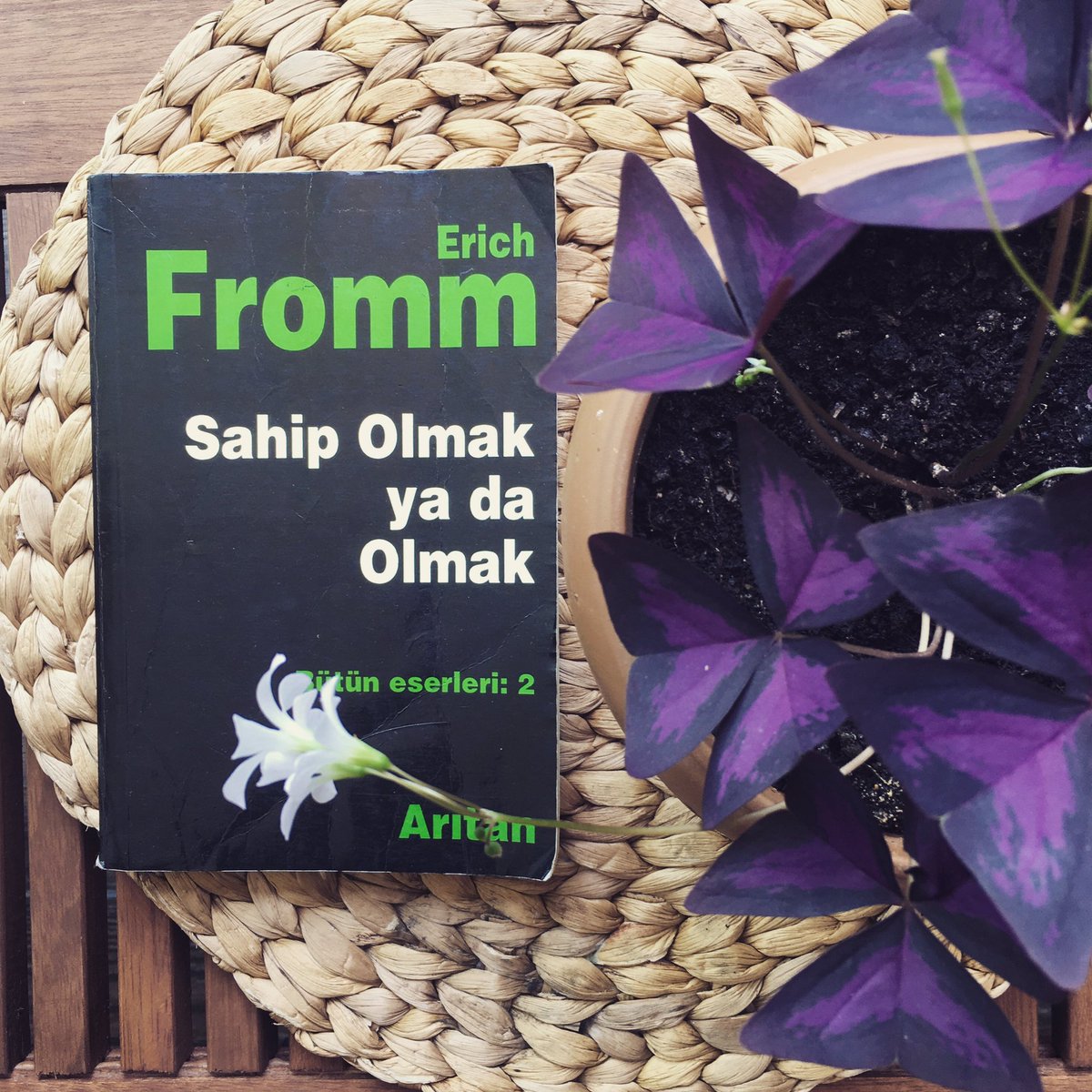 instagram.com/p/CgtkbAtDbFZ/…