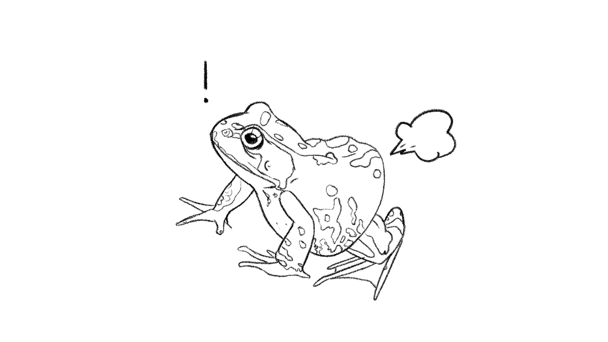_PudWud_'s tweet photo. Frog fart https://t.co/0DCadsKATm
