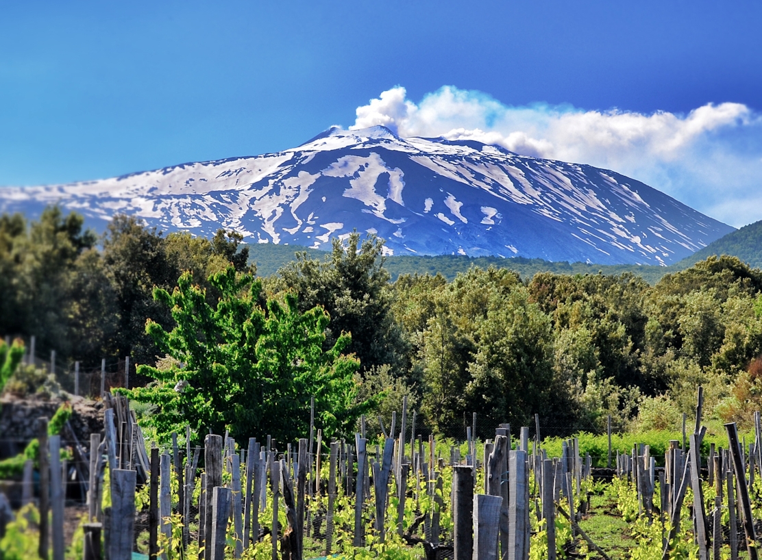 wine_school's tweet photo. International Newsletter - https://t.co/yNKK086rl3 - Wine tastings in person and online in August and a preview of our programme for the autumn https://t.co/6H2MahvtTk