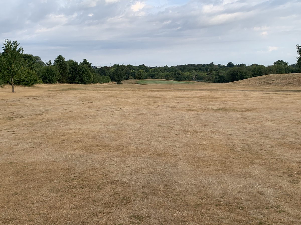 9 weeks without cutting now