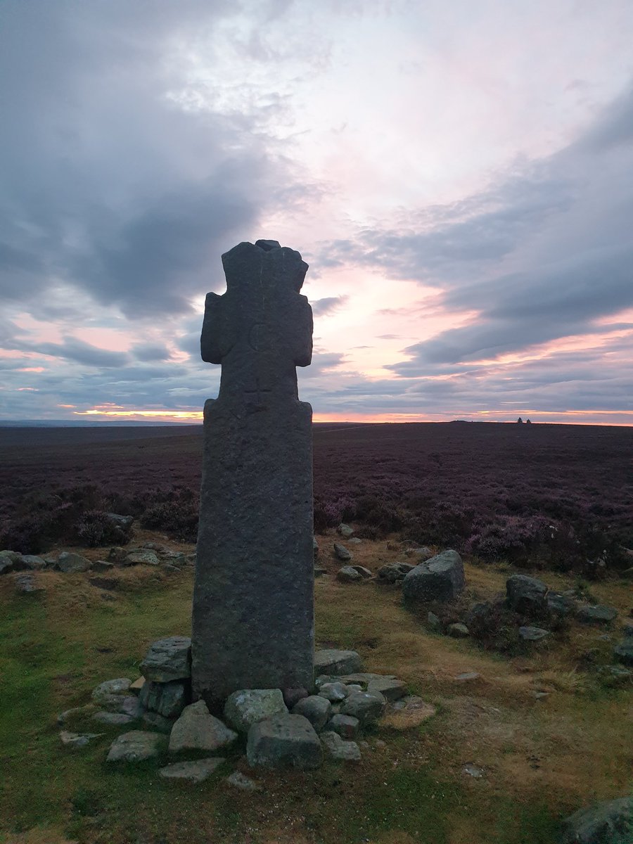 Michael Elliott tweet media