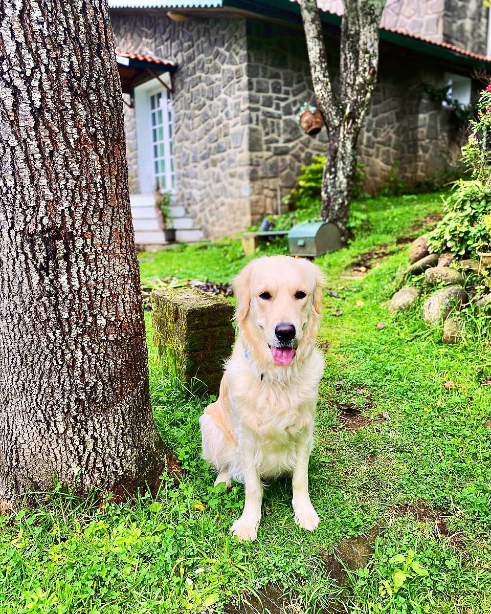 Monday Motivational Post 🌸
Dear hoomans 🐶
“You can’t make everyone happy, so just keep your pet happy”