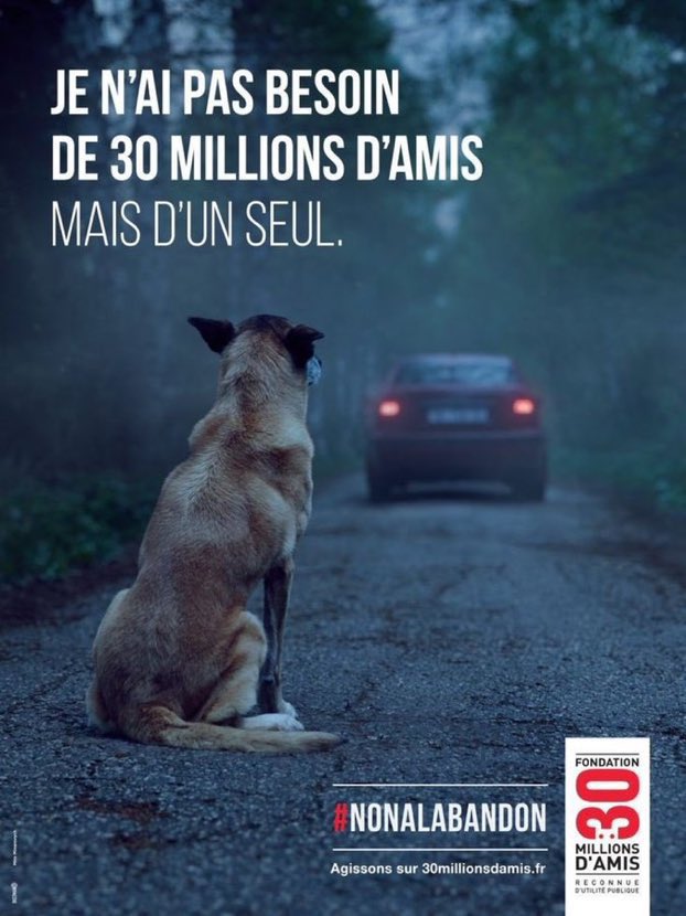 SachaHoulie's tweet photo. Nous sommes au milieu des vacances d’été. 
Il y a des principes élémentaires que je veux rappeler. #Nonalabandon https://t.co/mwxDy1A4Rg