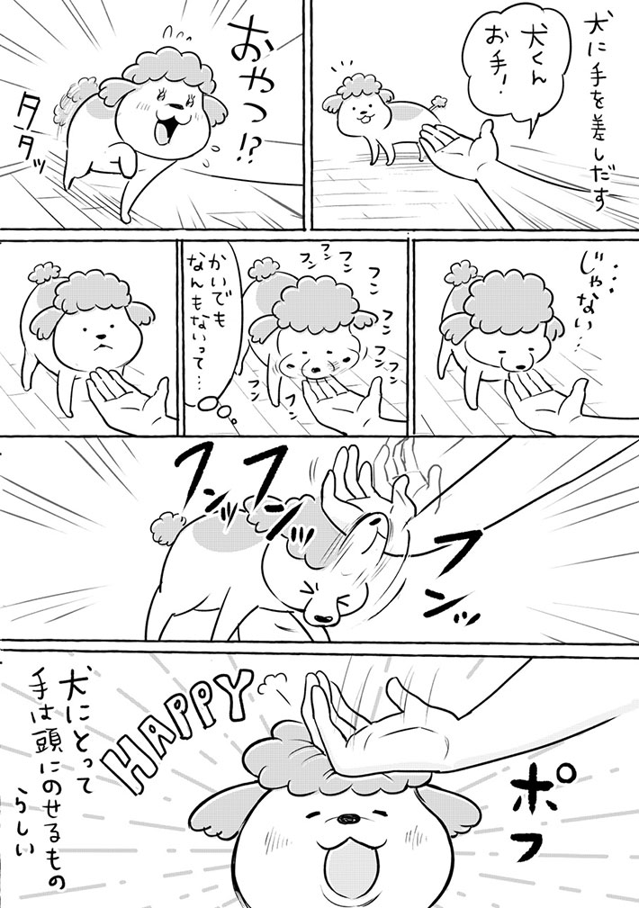犬も猫も思い通りにならない! 飼い主の手を見た2匹は?『犬と猫どっちも飼ってると』 https://t.co/jOQpSWkKu3 @grapeejpより 