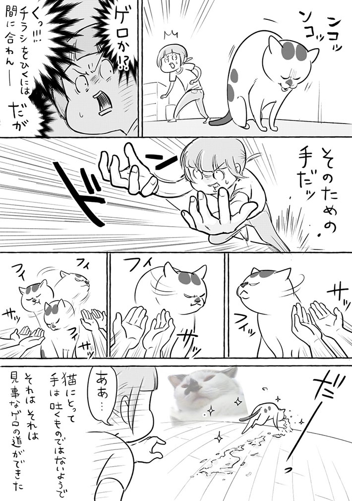 犬も猫も思い通りにならない! 飼い主の手を見た2匹は?『犬と猫どっちも飼ってると』 https://t.co/jOQpSWkKu3 @grapeejpより 