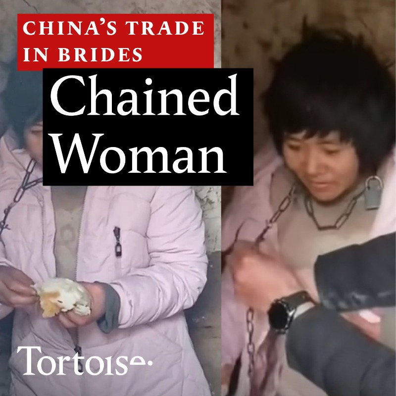 tortoise's tweet photo. When a video of a woman chained to a wall went viral in China, it ignited a battle for the truth between the people and the state.
Through our investigation for this week's Slow Newscast, we uncovered a new story about democracy in modern China.