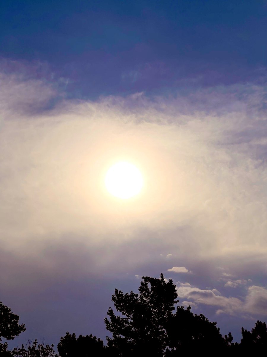 birdiegirl192's tweet image. good morning