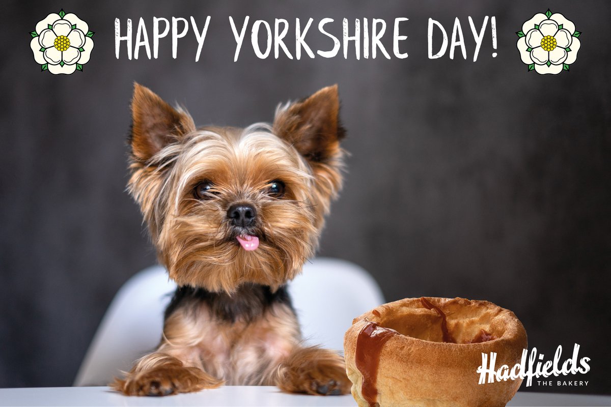 hadfieldsbakery's tweet photo. We wish you all a very Happy Yorkshire Day!!

#SupportLocal #Bakery #Huddersfield #Lunch #Sandwich #EyUp #EeBahGum https://t.co/KyoOzGyPAU