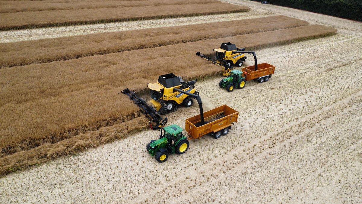 NPZ UK (@npz_uk) on Twitter photo <a href="/stratton_co/">J M Stratton & Co</a> kindly ran a strip trial of Vegas, Murray, Respect, Flemming, Turing and Picasso they harvested the ha blocks last week. Interesting maturity differences and a yield average of 5.43t/ha.
The farm uses AD digestate as an additional flea beetle control. <a href="/stratton_co/">J M Stratton & Co</a> kindly ran a strip trial of Vegas, Murray, Respect, Flemming, Turing and Picasso they harvested the ha blocks last week. Interesting maturity differences and a yield average of 5.43t/ha.
The farm uses AD digestate as an additional flea beetle control.