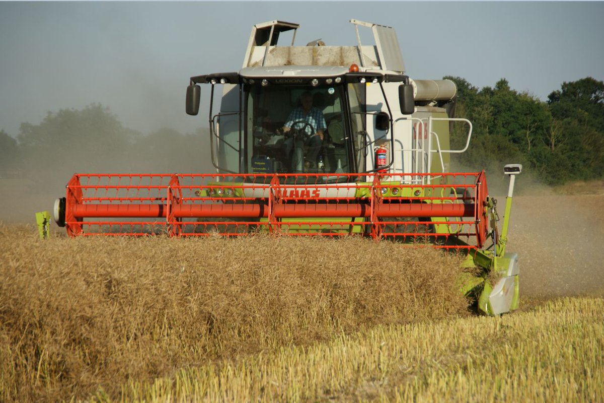 Since the beginning of harvest, United Oilseeds has collected &amp; moved  121,706 tonnes of its members &amp; customers' break crops @scouseman1978 <a href="/BeckyCrocombe/">Becky Crocombe</a> <a href="/BeckiiGibbs/">Beckii Gibbs</a> <a href="/AJHMilne/">Andrew Milne</a> <a href="/pennock66/">Ray</a> <a href="/Tula205/">James  Hood</a> <a href="/holly_gourley/">Holly Gourley</a> <a href="/BeckyBeesley1/">Becky Beesley</a> @AaronCantrill1 <a href="/jogunes1/">@JoGunes</a> <a href="/owencuos/">Owen Cligg</a> <a href="/McGregorFarms/">McGregor Farms</a>