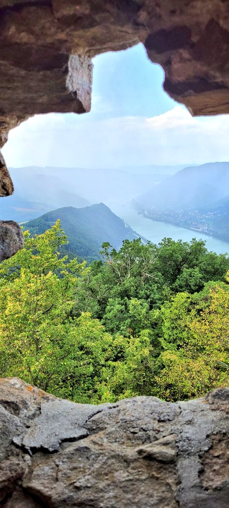 My family trip blog tweet media