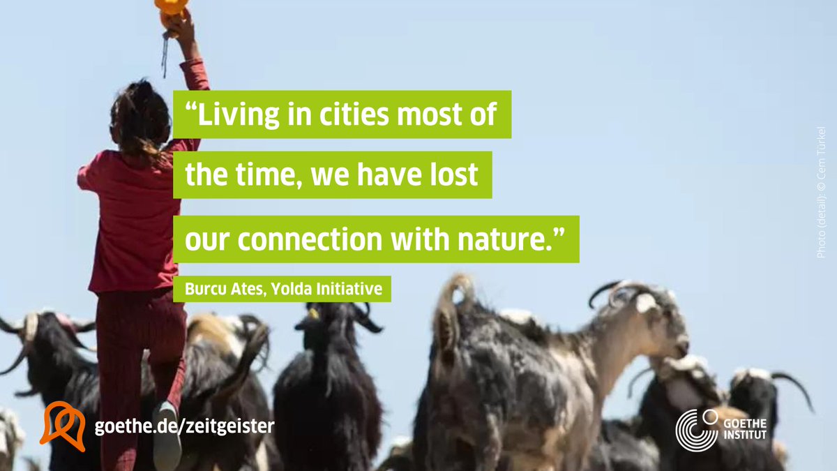How we feed ourselves in cities is very much dependent on what is produced in rural areas. This is why a coalition of organisations in the Mediterranean region is working to protect biodiversity. Find out more on #Zeitgeister goethe.de/prj/zei/en/nac…