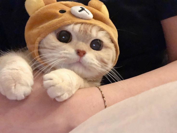 hanging out w/ my favorite child! ( ˆ͈̑꒳ˆ͈̑ )੭♡