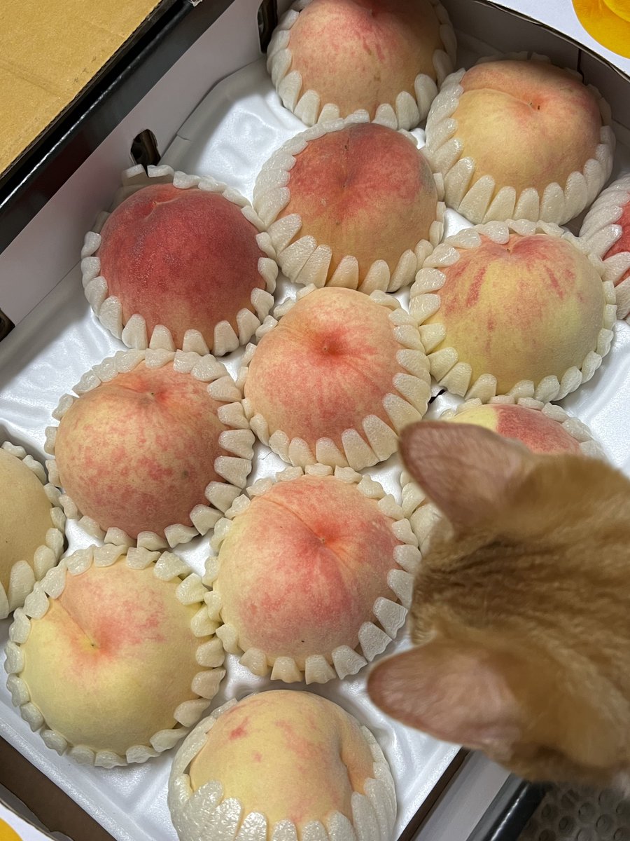 포리를 찾아 보세요