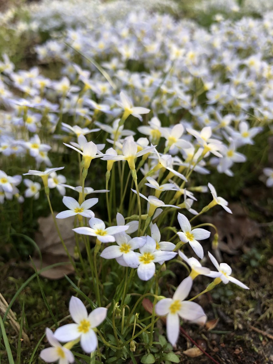 GM - It’s a new month! 

What exciting things do you have in store? 

I have some exciting news I’ll be sharing later on but for now I’m gonna keep you in suspense. 😂 

You can look at this though while you wait.